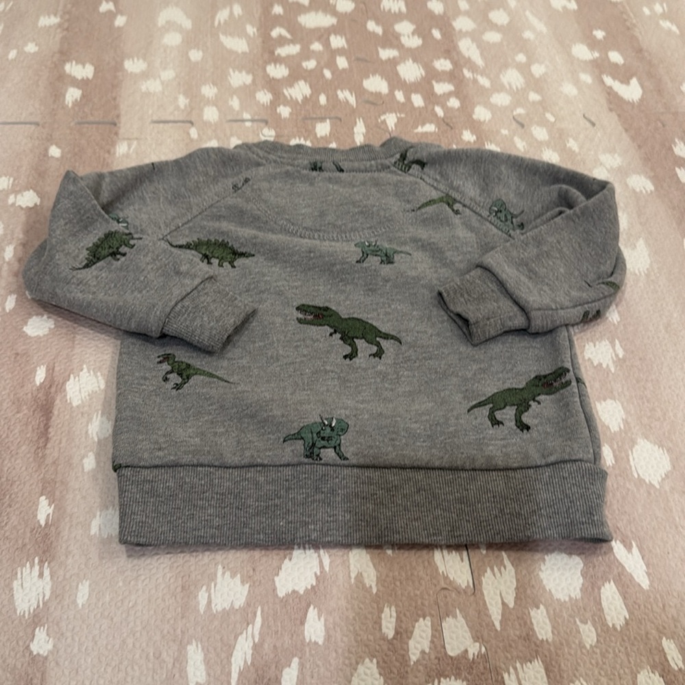 Sovereign Code Boys Dinosaur Sweatshirt Gray Size 18M - Picture 6 of 11